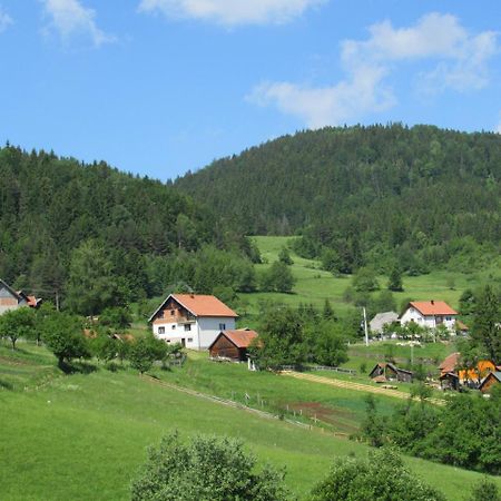 Planinski Mir Zaovine Luaran gambar