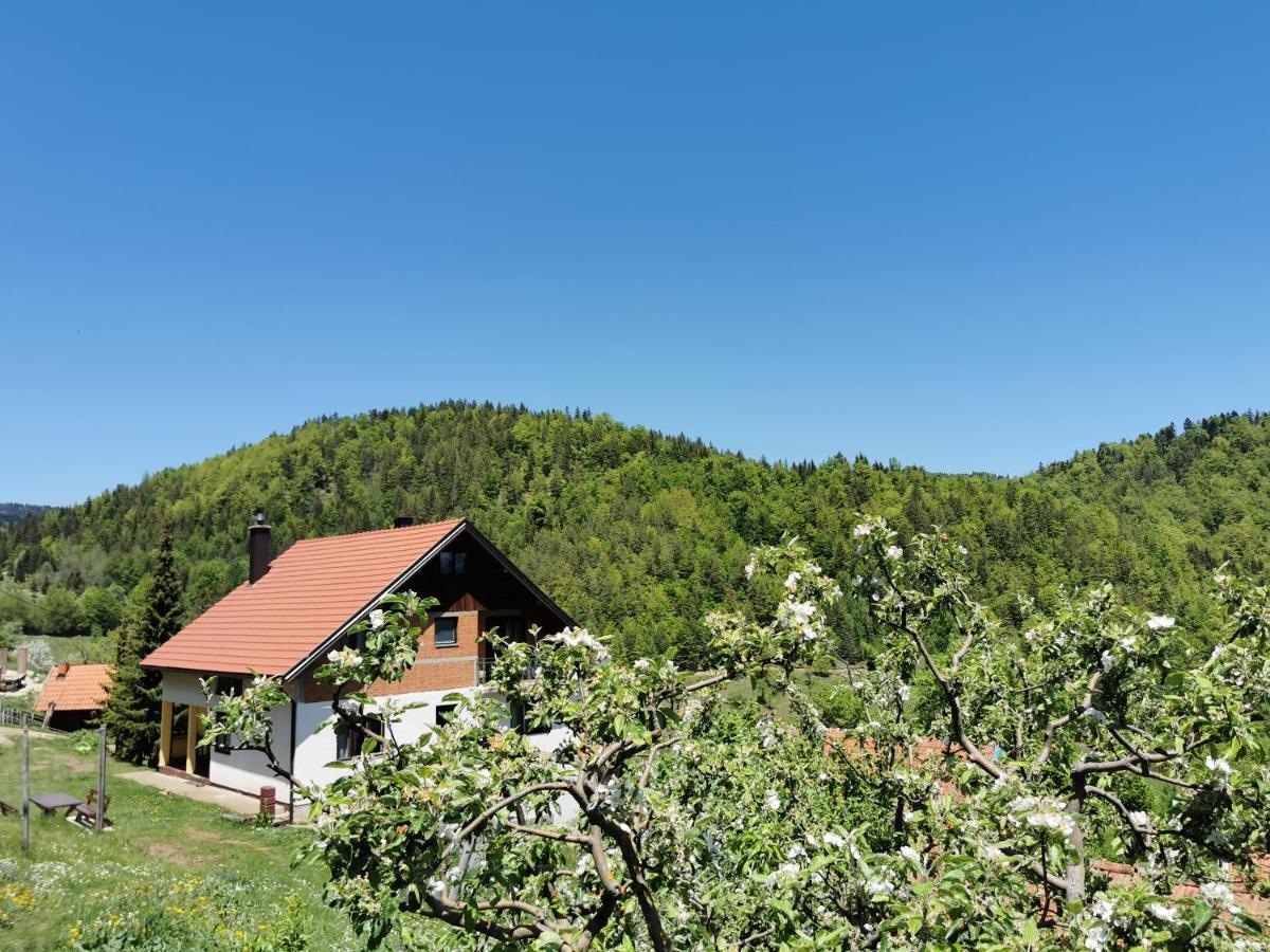 Planinski Mir Zaovine Luaran gambar