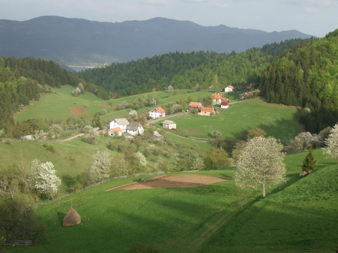 Planinski Mir Zaovine Luaran gambar