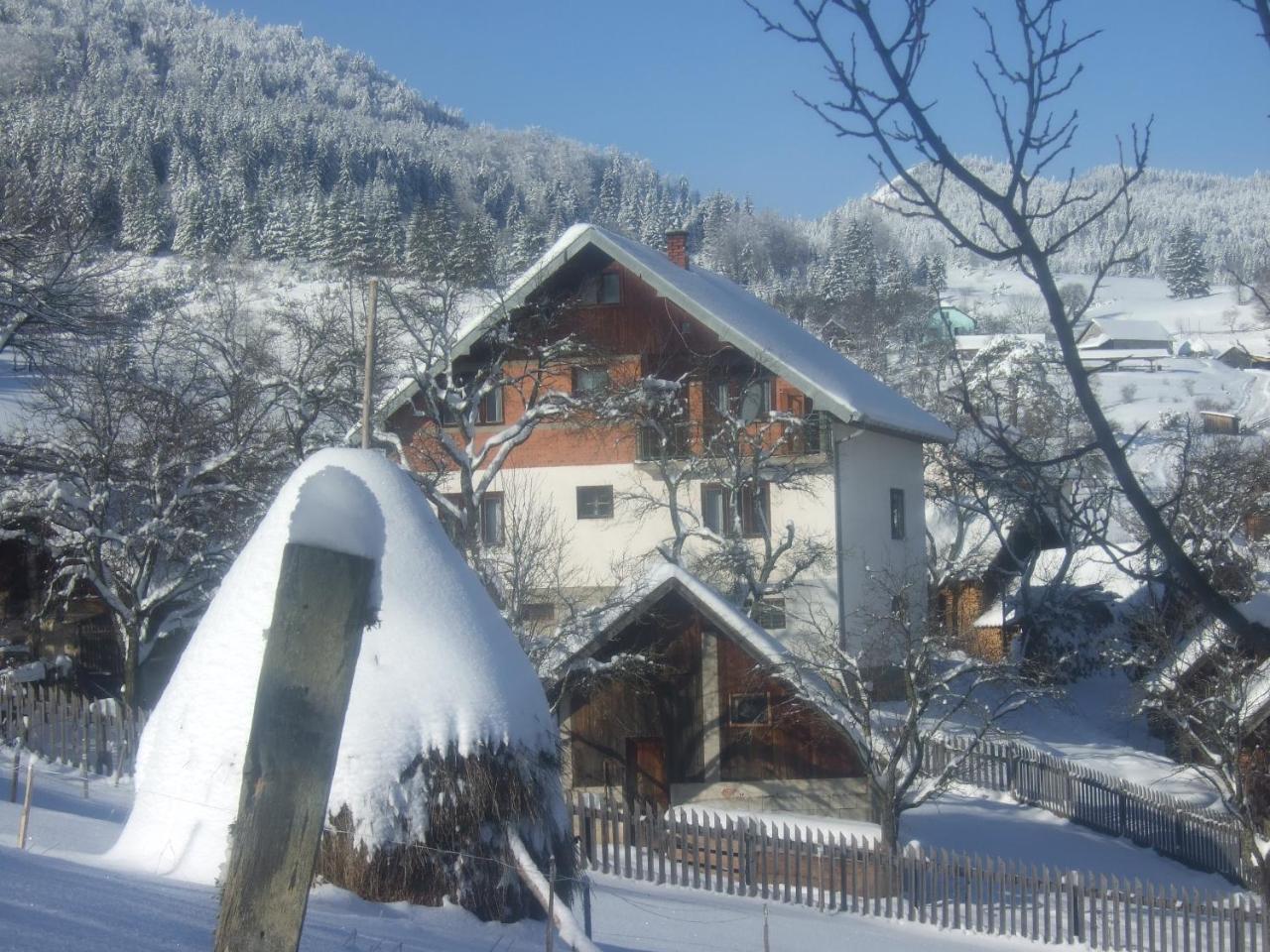 Planinski Mir Zaovine Luaran gambar