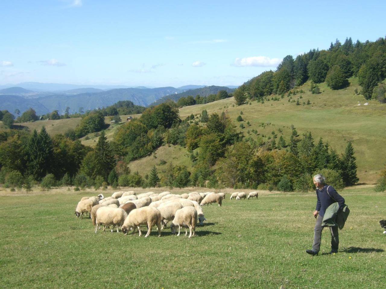 Planinski Mir Zaovine Luaran gambar