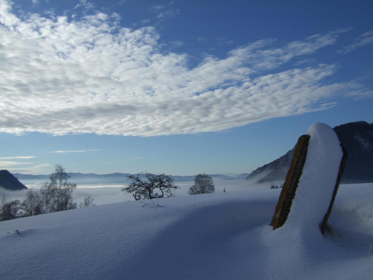 Planinski Mir Zaovine Luaran gambar